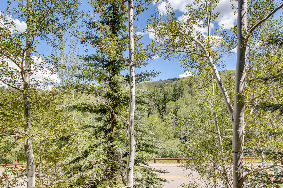 06_Snow Cloud_C1_View_17_0810