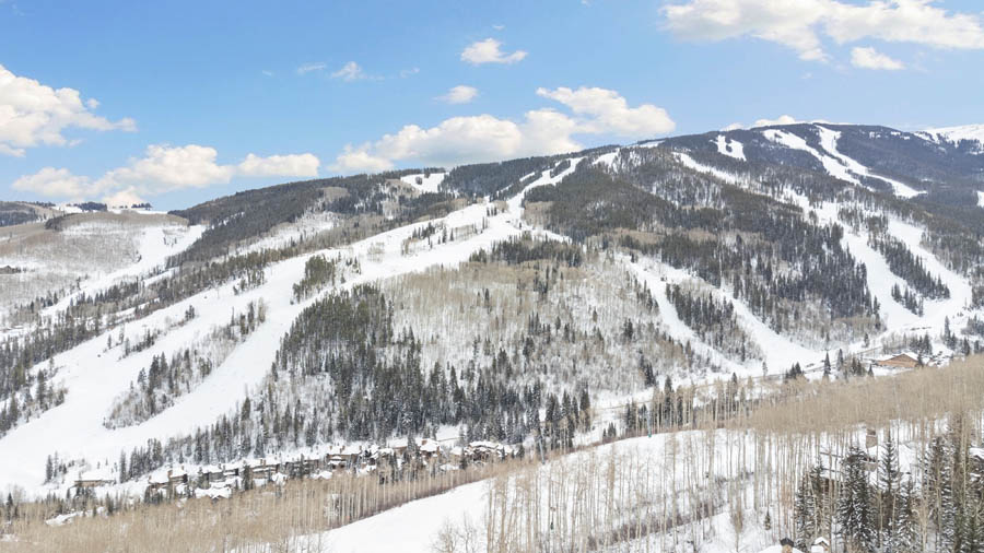 313-strawberry-0097_51766494494_o