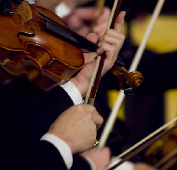 Art and Cultural Events and Performances